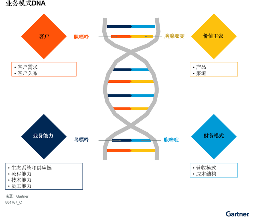 DNA链